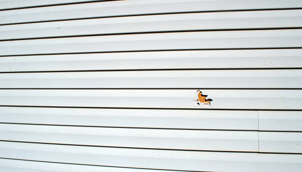 Affordable siding repair and maintenance services in Mountain Green, UT